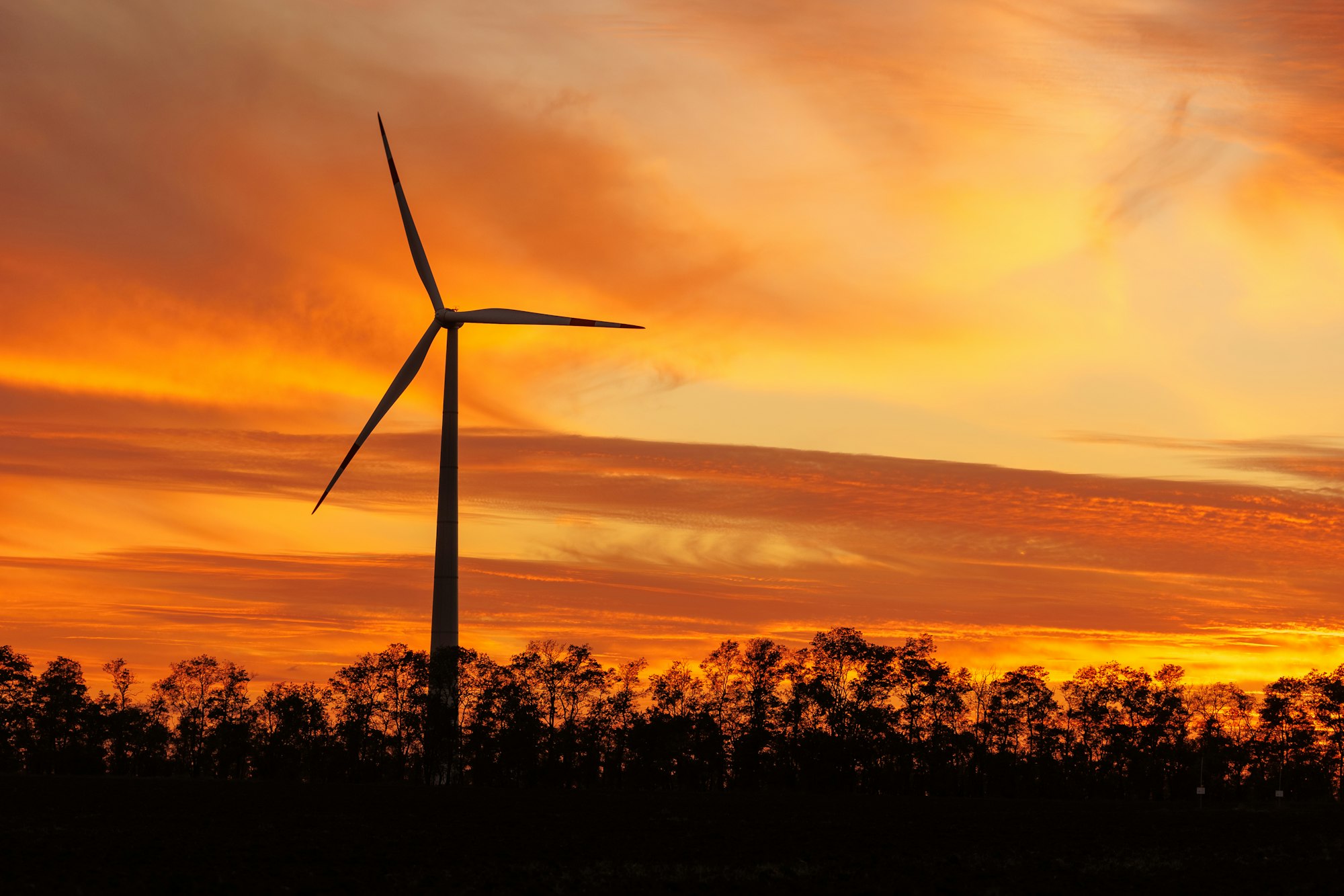 Wind turbines Energy production using clean and renewable energy sources, agricultural fields